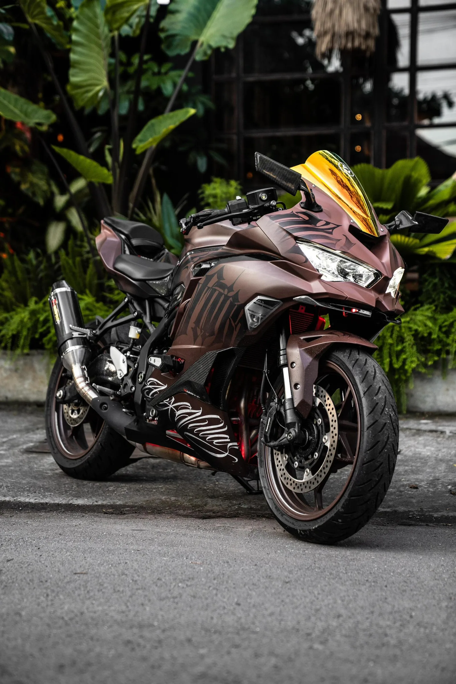 Brown Sugar — Kawasaki ZX-25R 250cc motorcycle rental in Bali