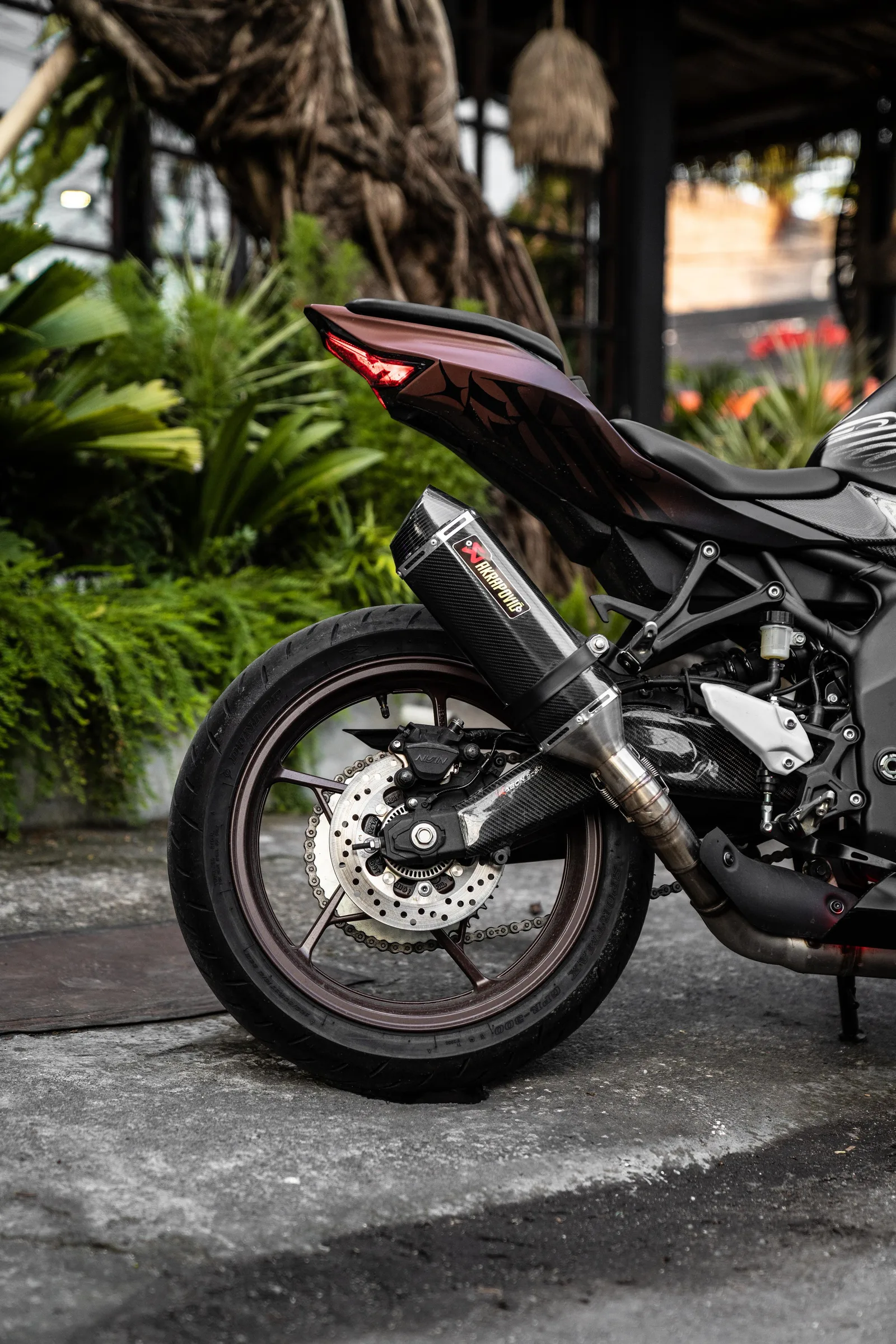 Brown Sugar — Kawasaki ZX-25R 250cc motorcycle rental in Bali, photo 2