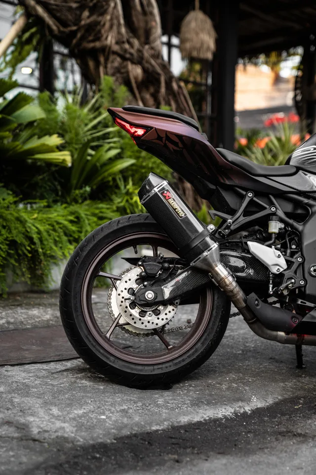 Brown Sugar — Kawasaki ZX-25R 250cc motorcycle rental in Bali, photo 2