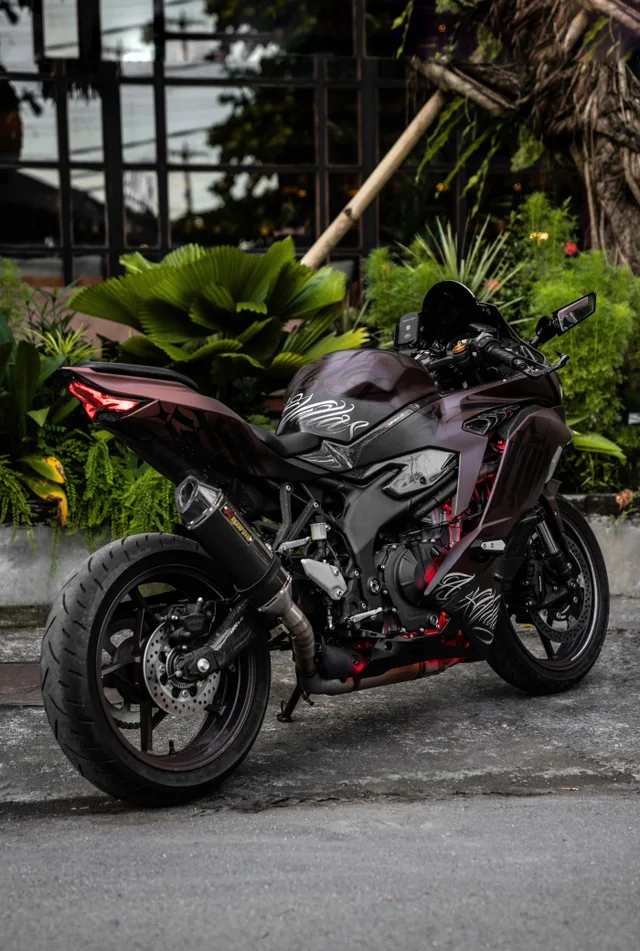 Brown Sugar — Kawasaki ZX-25R 250cc motorcycle rental in Bali, photo 3
